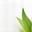 Logo InnovEco